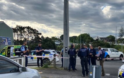 armed-police-swarm-on-suburb-after-woman’s-death-in-west-auckland-–-stuff