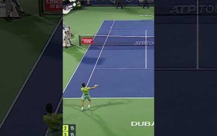 breathtaking-djokovic-vs-medvedev-point-