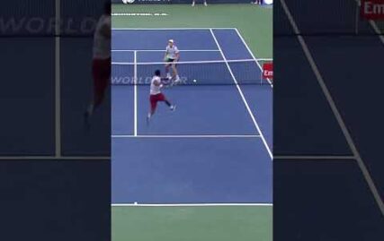 genius-monfils-fake-shot-