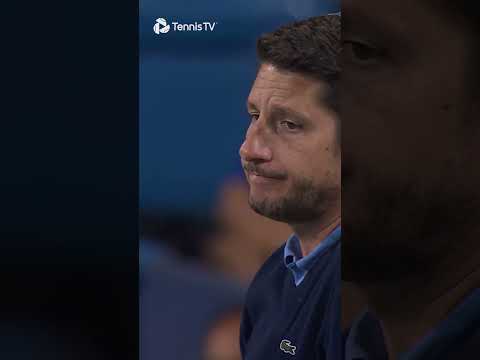 djokovic-vs-zverev-match-interrupted-by-fireworks-display!-