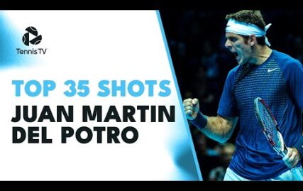 top-35-juan-martin-del-potro-electric-shots-