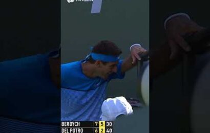 juan-martin-del-potro-asks-security-to-play-for-him-