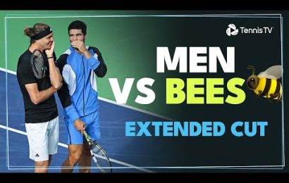 men-vs-bees-|-extended-cut-of-alcaraz-&-zverev’s-unexpected-interruption!-