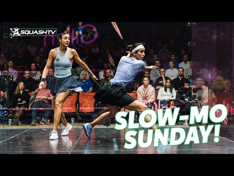 a-savage-kill-shot!-|-gohar-v-el-hammamy-|-4k-slow-mo-sunday-