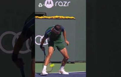 dimitrov-hits-front-facing-tweener-vs-medvedev-