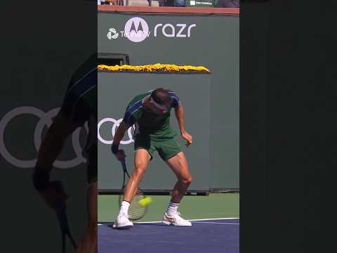 dimitrov-hits-front-facing-tweener-vs-medvedev-