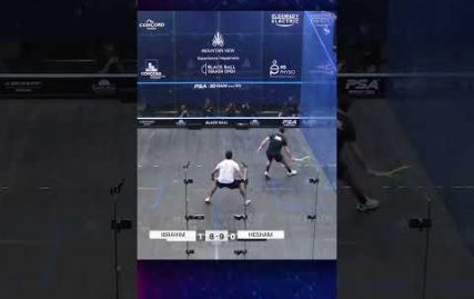 this-is-just-ridiculous!-what-a-rally!-#psaworldtour