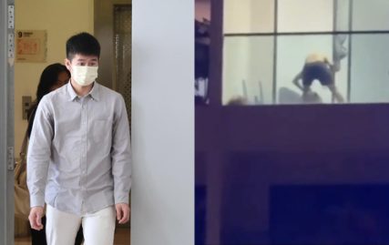 national-badminton-player-fined-rm25,000-for-abusing-dog-on-condo-balcony