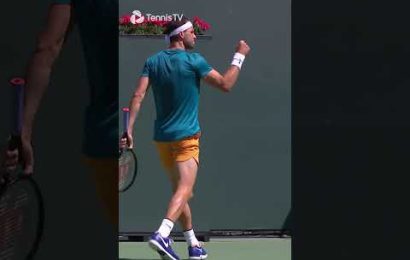 smooth-dimitrov-backhand-winner-