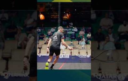 is-there-anything-ali-farag-cannot-do-️-#squash