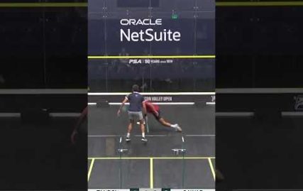 we-could-watch-these-two-play-squash-all-day-long-#sports