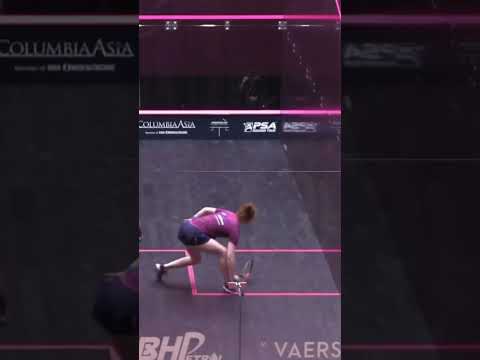 exquisite-from-malliff-#squash-#psasquashtour