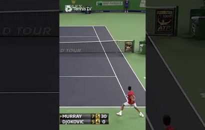 murray-djokovic