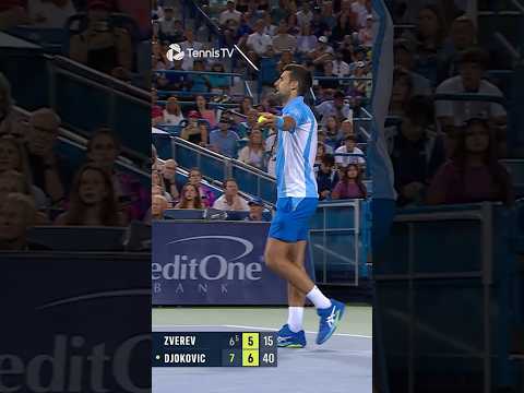 a-strange-interruption-in-djokovic-vs-zverev-