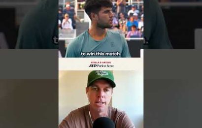 stella-perfect-serve:-august-candidates