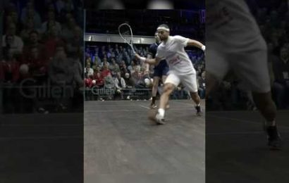 elshorbagy-bringing-his-‘a’-game!-fantastic-squash-from-the-englishman-️
