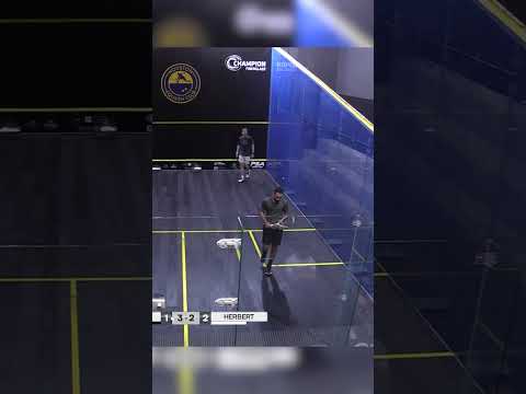 the-dive-and-the-finish-#squash-#usa