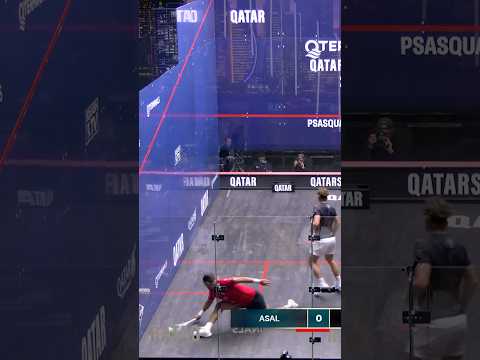 chaos-on-court!-#sports